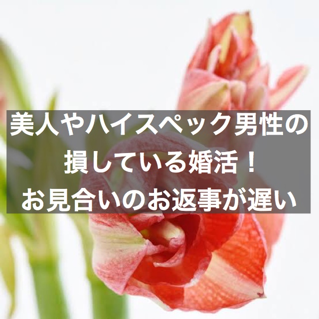 美人やハイスペック男性の損している婚活 お見合いのお返事が遅い 結婚相談所ブライダルゼルム 東京 銀座